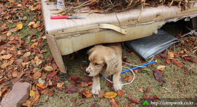 돈뮤 오토캠핑장 돈뮤 오토캠핑장