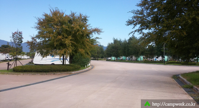 자라섬캠핑장 자라섬캠핑장