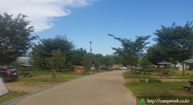 자라섬캠핑장 자라섬캠핑장