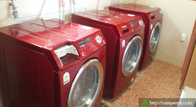 자라섬캠핑장 자라섬캠핑장