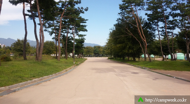 자라섬캠핑장 자라섬캠핑장