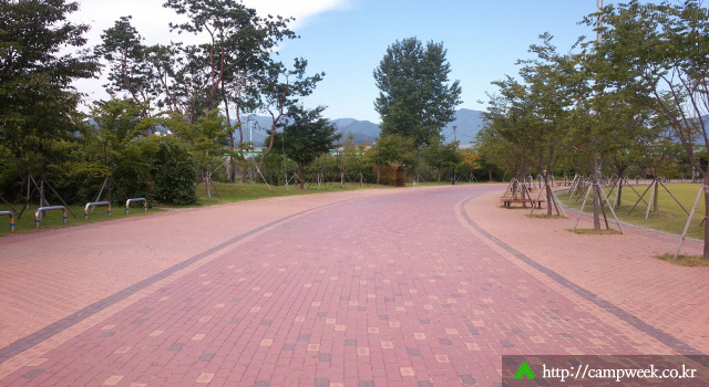 자라섬캠핑장 자라섬캠핑장