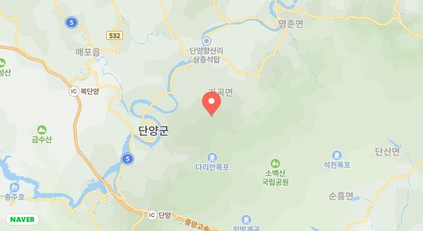소백산 신선펜션 & 캠핑