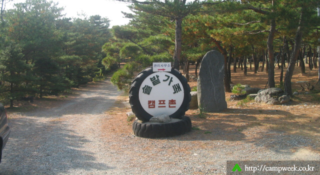 양양 솔밭 가족캠프촌(카라반) 양양 솔밭 가족캠프촌(카라반)