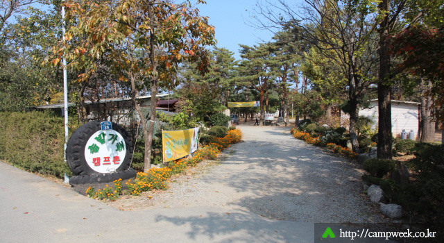양양 솔밭 가족캠프촌(카라반) 양양 솔밭 가족캠프촌(카라반)