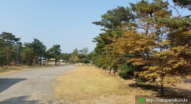 양양 솔밭 가족캠프촌(카라반) 양양 솔밭 가족캠프촌(카라반)