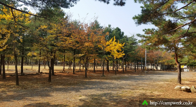 양양 솔밭 가족캠프촌(카라반) 양양 솔밭 가족캠프촌(카라반)