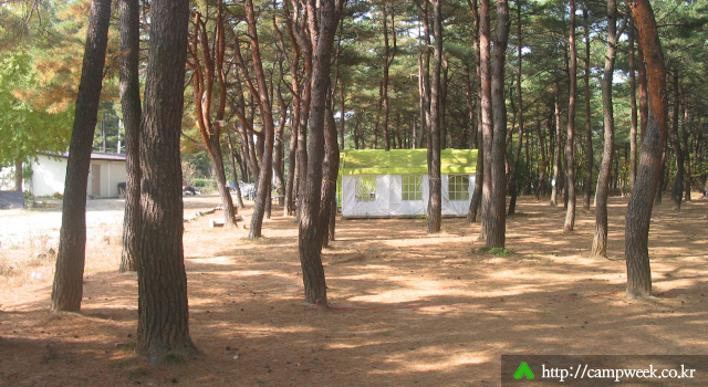 양양 솔밭 가족캠프촌(카라반) 양양 솔밭 가족캠프촌(카라반)
