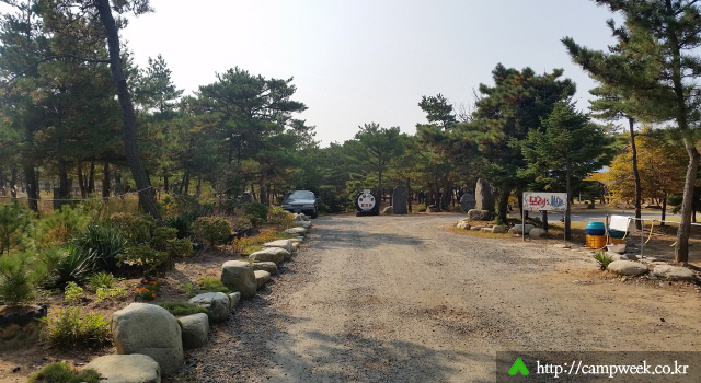 양양 솔밭 가족캠프촌(카라반) 양양 솔밭 가족캠프촌(카라반)