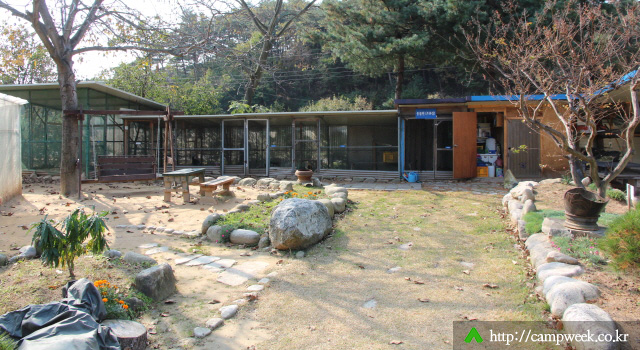 양양 솔밭 가족캠프촌(카라반) 양양 솔밭 가족캠프촌(카라반)