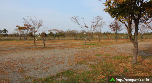 양양 바다캠프장 양양 바다캠프장