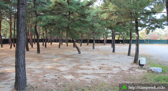 양양 바다캠프장 양양 바다캠프장