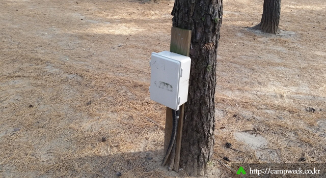 양양 바다캠프장 양양 바다캠프장