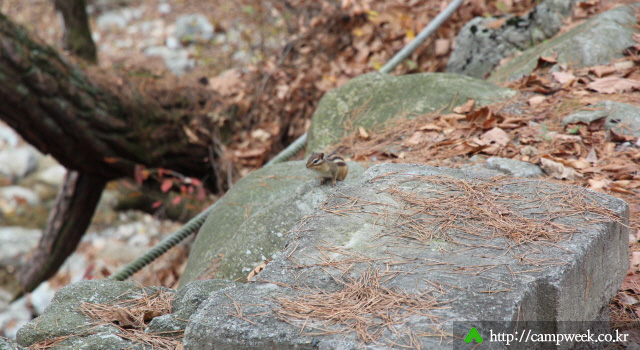 인제 폭포야영장