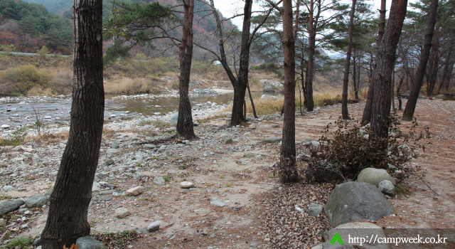 설악 오토 캠핑장(솔방울 펜션)