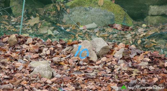 백담고을오토캠핑장