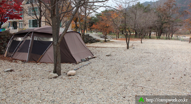 구만동오토캠핑장 구만동오토캠핑장