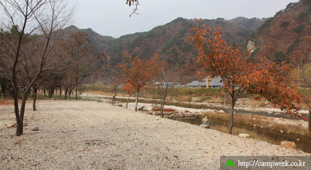 구만동오토캠핑장 구만동오토캠핑장