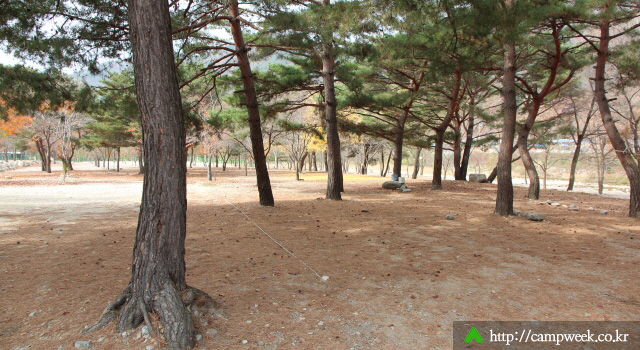 구만동오토캠핑장 구만동오토캠핑장