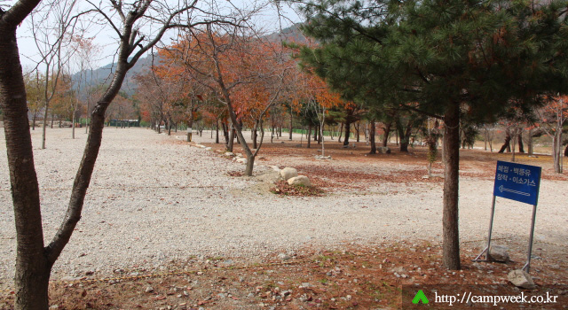 구만동오토캠핑장 구만동오토캠핑장