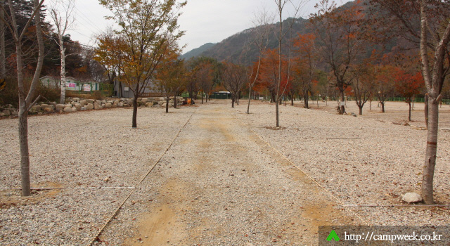 구만동오토캠핑장 구만동오토캠핑장