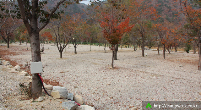 구만동오토캠핑장 구만동오토캠핑장