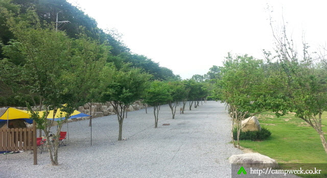용화산 프라임캠핑장 용화산 프라임캠핑장
