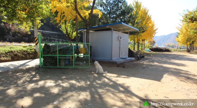 개야리88캠핑장 개야리88캠핑장