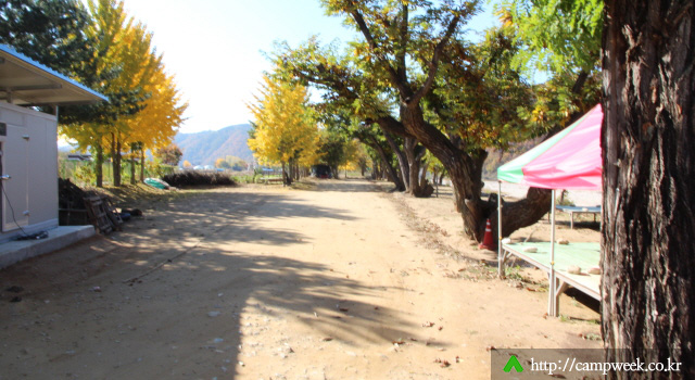 개야리88캠핑장 개야리88캠핑장
