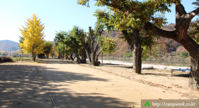 개야리88캠핑장 개야리88캠핑장