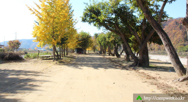 개야리88캠핑장 개야리88캠핑장