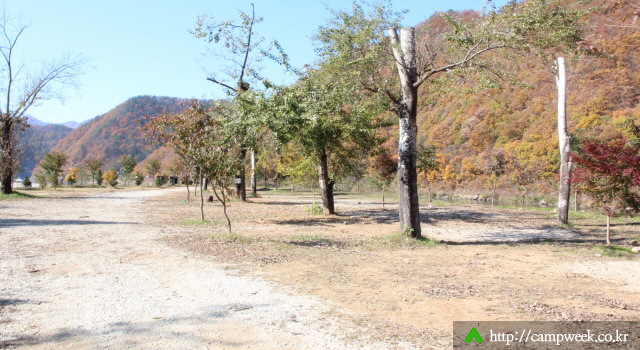 보리울오토캠핑장 보리울오토캠핑장