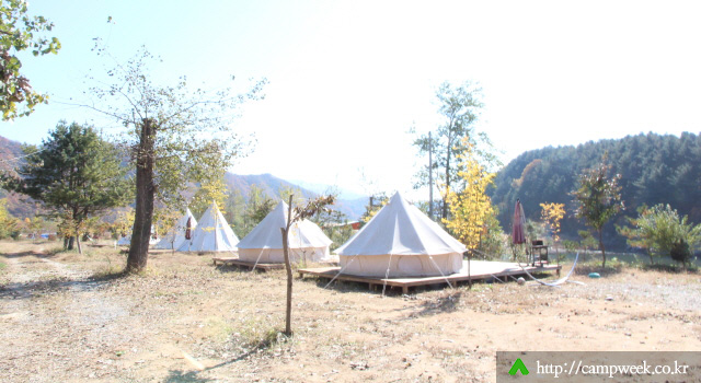 보리울오토캠핑장 보리울오토캠핑장