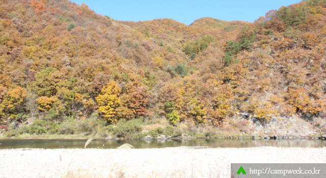 보리울오토캠핑장 보리울오토캠핑장