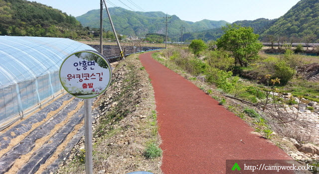 매화분교오토캠핑장 매화분교오토캠핑장