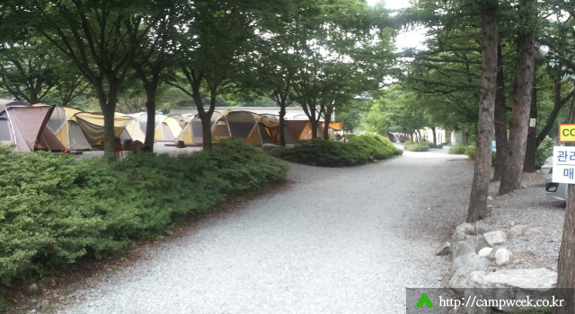 유명산 밤벌 오토 캠핑장