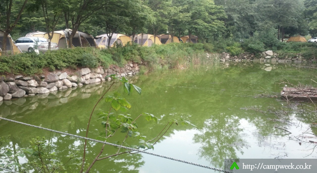 유명산 밤벌 오토 캠핑장