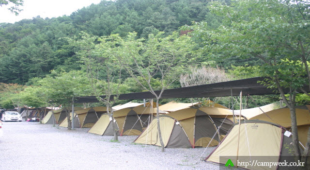 맑은물소리캠핑장 맑은물소리캠핑장