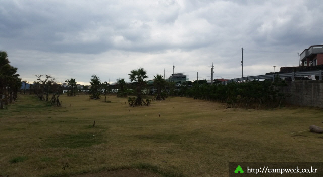 제주 함덕 서우봉 해변 제주 함덕 서우봉 해변