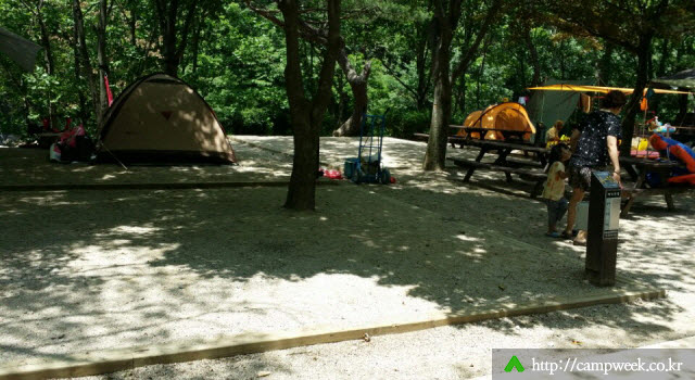 소백산국립공원 남천 야영장