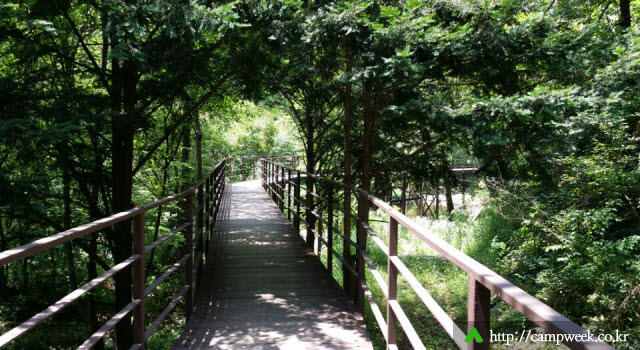 소백산국립공원 남천 야영장