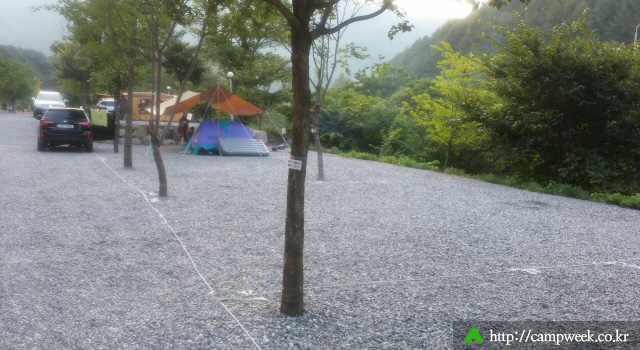 늘푸른쉼터 오토캠프장 늘푸른쉼터 오토캠프장