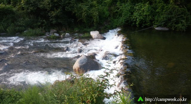 늘푸른쉼터 오토캠프장 늘푸른쉼터 오토캠프장