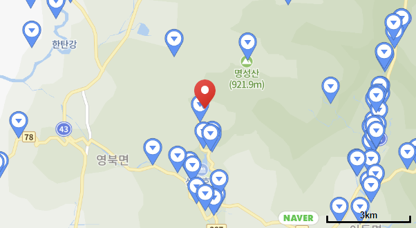 서울대공원야영장